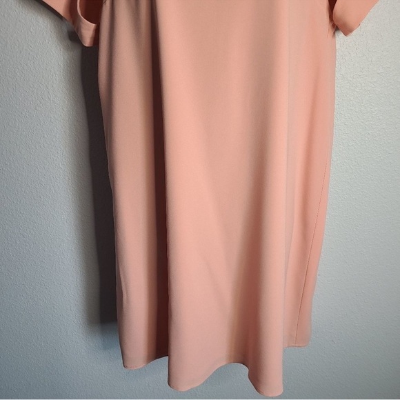 BCBGMaxAzria Blush Pink Mini Dress - Picture 4 of 9